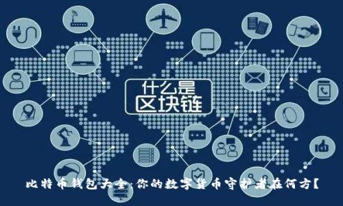比特币钱包大全：你的数字货币守护者在何方？