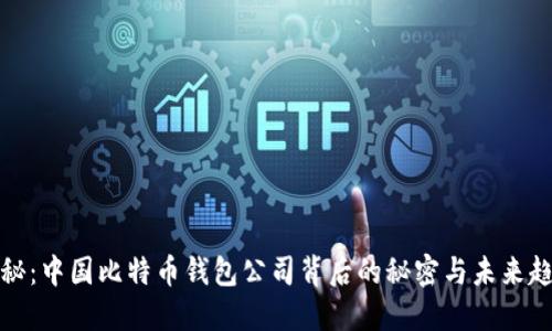 揭秘：中国比特币钱包公司背后的秘密与未来趋势