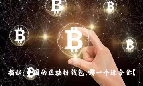揭秘：中国的区块链钱包，哪一个适合你？