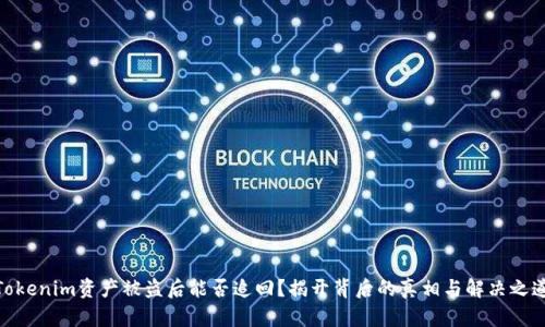 Tokenim资产被盗后能否追回？揭开背后的真相与解决之道