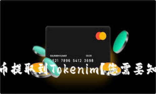 如何安全地将SHIB币提取到Tokenim？您需要知道的关键步骤揭秘！