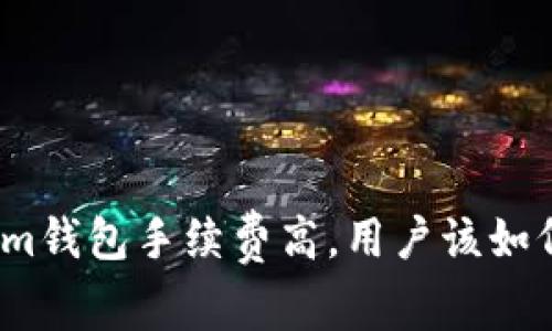 Tokenim钱包手续费高，用户该如何应对？