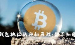 揭秘比特币钱包地址的神