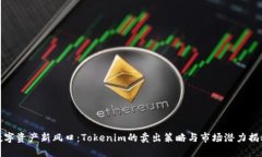 数字资产新风口：Tokenim的