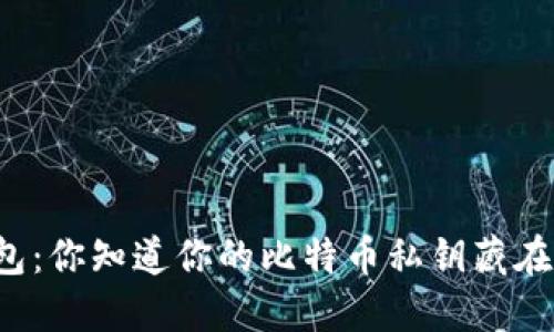 比太钱包：你知道你的比特币私钥藏在哪儿吗？