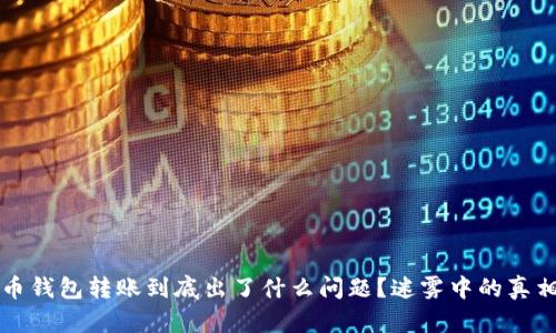 虚拟币钱包转账到底出了什么问题？迷雾中的真相揭秘