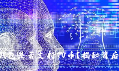 以太坊钱包是否支持TV币？揭秘背后的真相！