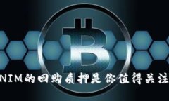 为什么TOKENIM的回购质押是