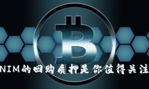 为什么TOKENIM的回购质押是你值得关注的投资机会？