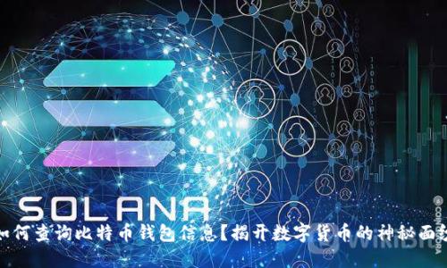 如何查询比特币钱包信息？揭开数字货币的神秘面纱