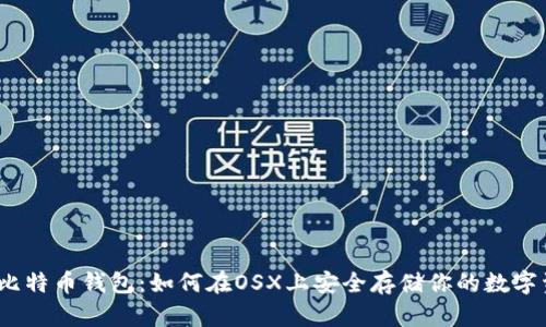 探索比特币钱包：如何在OSX上安全存储你的数字资产？