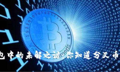 比特币钱包中的未解之谜：你知道分叉币的真相吗？