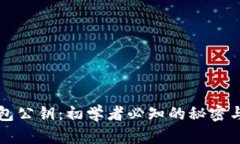 比特币钱包公钥：初学者