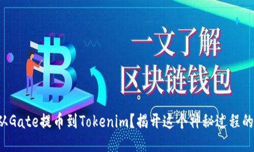 如何从Gate提币到Tokenim？揭开这个神秘过程的面纱！