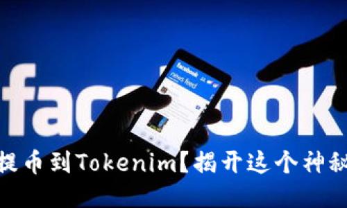如何从Gate提币到Tokenim？揭开这个神秘过程的面纱！