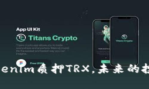 在数字货币世界中，Tokenim质押TRX，未来的投资机会与风险是什么？