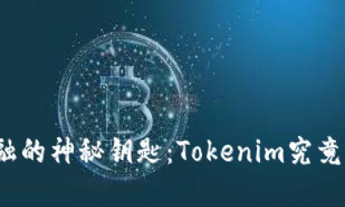 探索未来金融的神秘钥匙：Tokenim究竟为何未映射？