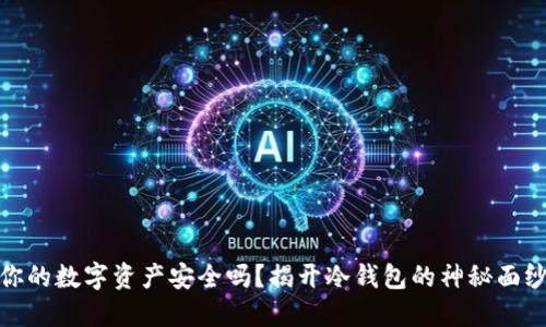 你的数字资产安全吗？揭开冷钱包的神秘面纱