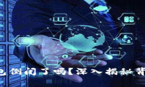 比特币钱包倒闭了吗？深入揭秘背后的真相！