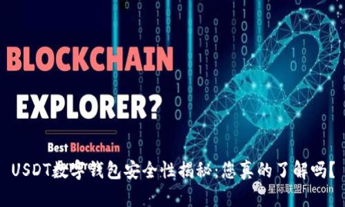 USDT数字钱包安全性揭秘：您真的了解吗？
