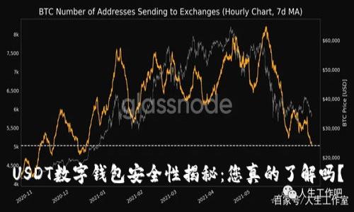 USDT数字钱包安全性揭秘：您真的了解吗？