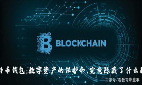  比特币钱包：数字资产的保护伞，究竟隐藏了什么秘密？