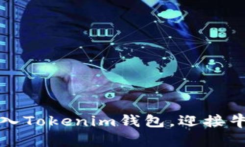 如何将FIL币转入Tokenim钱包，迎接牛市的最佳时机？