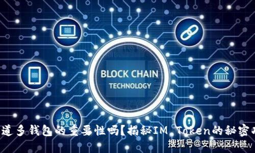 你知道多钱包的重要性吗？揭秘IM Token的秘密功能！