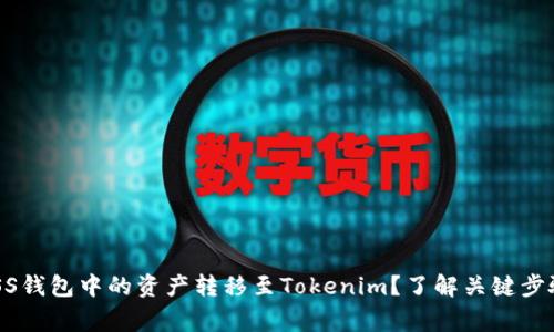 如何轻松将ASS钱包中的资产转移至Tokenim？了解关键步骤与注意事项！