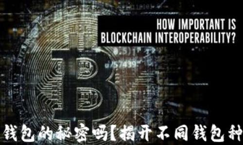 
你知道以太坊钱包的秘密吗？揭开不同钱包种类的神秘面纱
