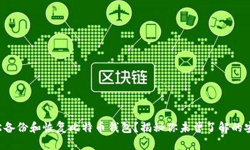 如何轻松备份和恢复比特币钱包？揭秘你未曾了解的安全秘诀！