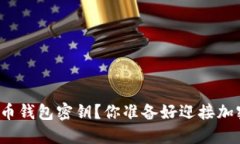 如何安全设置比特币钱包