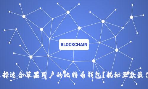 如何选择适合苹果用户的比特币钱包？揭秘五款最佳选择！