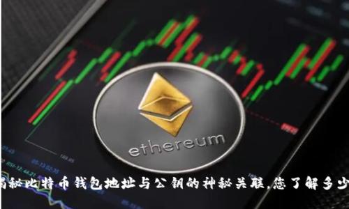 揭秘比特币钱包地址与公钥的神秘关联，您了解多少？