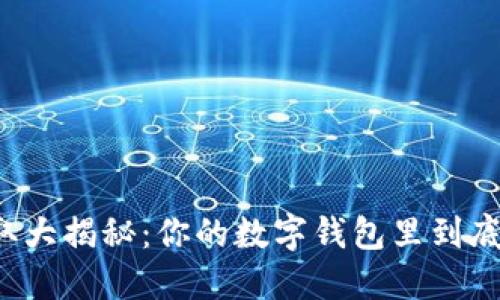 比特币提取大揭秘：你的数字钱包里到底藏着什么？