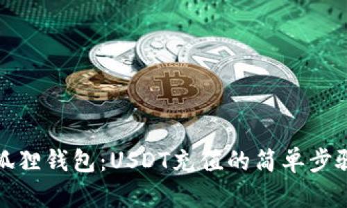 揭秘小狐狸钱包：USDT充值的简单步骤与技巧