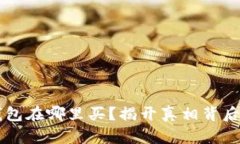 区块链钱包在哪里买？揭