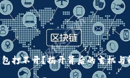 比特币钱包打不开？揭开背后的玄机与解决方案！