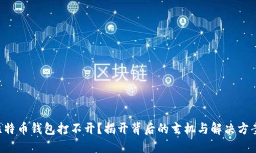 比特币钱包打不开？揭开背后的玄机与解决方案！