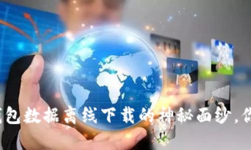 揭开比特币钱包数据离线下载的神秘面纱，你准备好了吗？