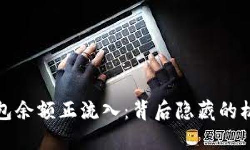 比特币钱包余额正流入：背后隐藏的机遇与挑战