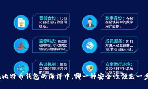 在比特币钱包的海洋中，哪一种安全性领先一步？