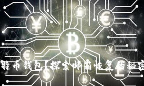 意外丢失比特币钱包？探索邮箱恢复的秘密，就在这里！