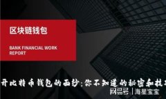 揭开比特币钱包的面纱：