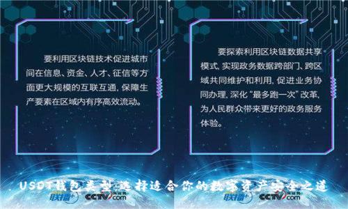 USDT钱包类型：选择适合你的数字资产安全之道