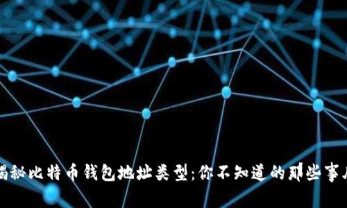 揭秘比特币钱包地址类型：你不知道的那些事儿