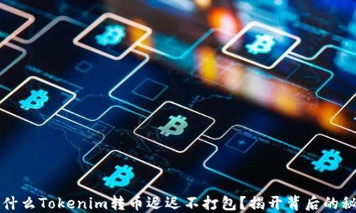 
为什么Tokenim转币迟迟不打包？揭开背后的秘密