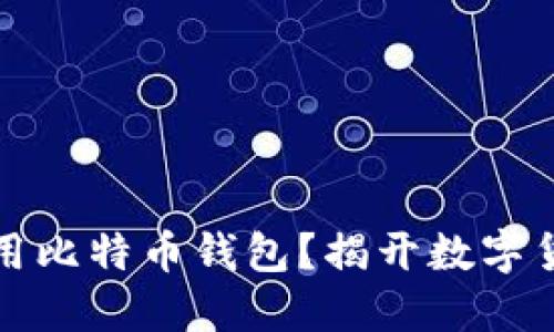 如何选择和使用比特币钱包？揭开数字货币背后的秘密