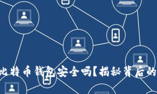 U盘比特币钱包安全吗？揭秘背后的真相