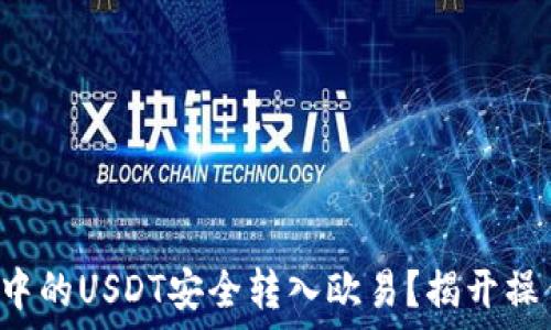  

如何将TP钱包中的USDT安全转入欧易？揭开操作背后的秘密！